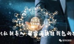 tpWallet私钥导入：解密区块链钱包的安全之道