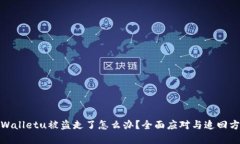 tpWalletu被盗走了怎么办？全面应对与追回方案