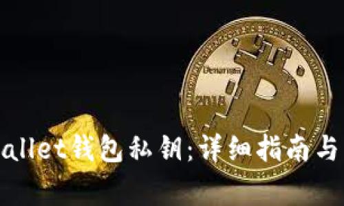 如何找回tpWallet钱包私钥：详细指南与常见问题解答