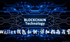 如何找回tpWallet钱包私钥：详细指南与常见问题解