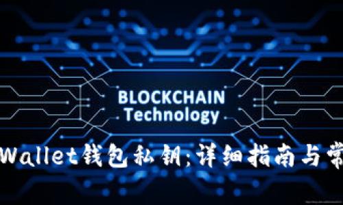 如何找回tpWallet钱包私钥：详细指南与常见问题解答
