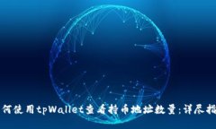 如何使用tpWallet查看持币地