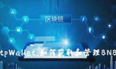 全面探讨tpWallet：如何获取