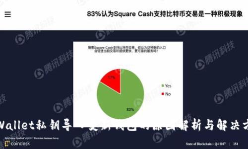 tpWallet私钥导入变新钱包的原因解析与解决方案
