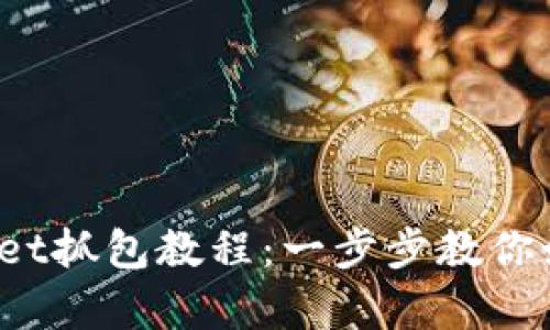 baozi全面解析tpWallet抓包教程：一步步教你如何进行网络请求分析