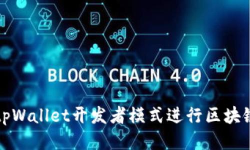 如何使用tpWallet开发者模式进行区块链应用开发