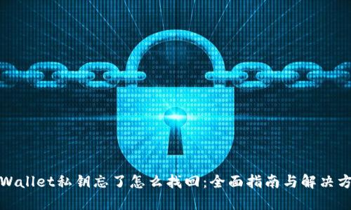 tpWallet私钥忘了怎么找回：全面指南与解决方案