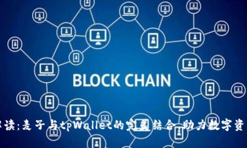 深入解读：麦子与tpWallet的完美结合，助力数字资产管理