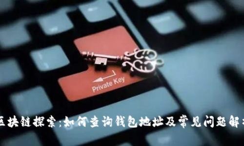 区块链探索：如何查询钱包地址及常见问题解析