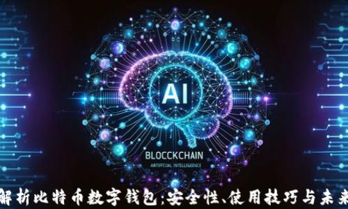 
全面解析比特币数字钱包：安全性、使用技巧与未来趋势