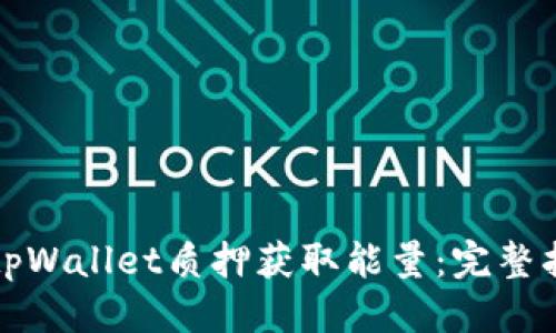 思考的
如何通过tpWallet质押获取能量：完整指南与技巧