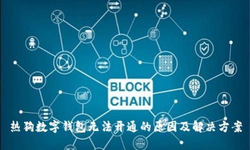 热狗数字钱包无法开通的原因及解决方案