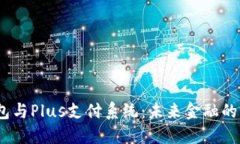  数字钱包与Plus支付系统：