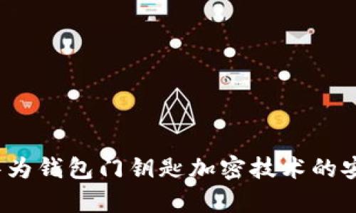 全面解析：华为钱包门钥匙加密技术的安全性及应用