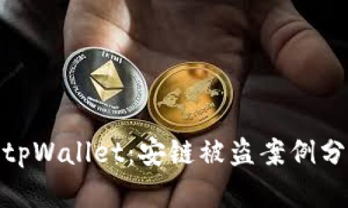 如何保护你的tpWallet：安链被盗案例分析与防范措施