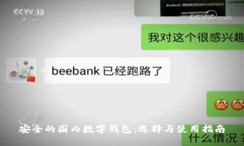 安全的国内数字钱包：选择与使用指南