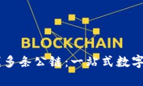 tpWallet上线多条公链：一站式数字资产管理平台