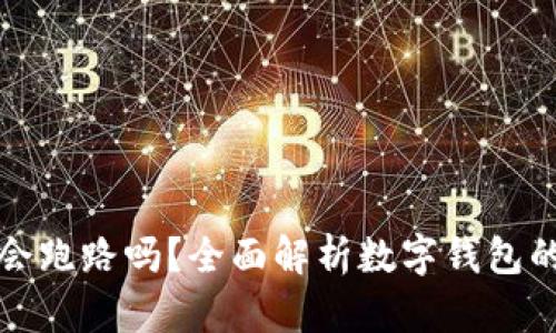 tpWallet的币会跑路吗？全面解析数字钱包的安全性与风险