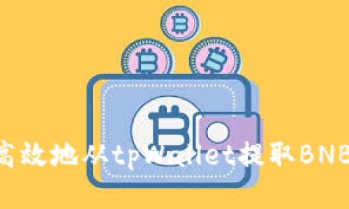 如何安全高效地从tpWallet提取BNB：详尽指南