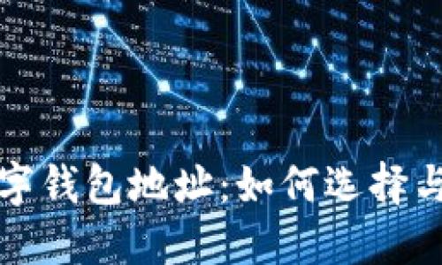 深入了解数字钱包地址：如何选择与安全性保证