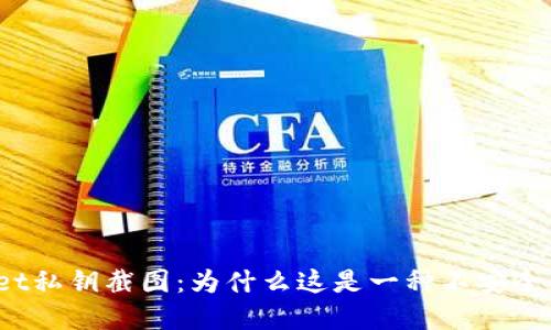 tpWallet私钥截图：为什么这是一种不安全的做法？