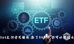 tpWallet支付方式解析：除了