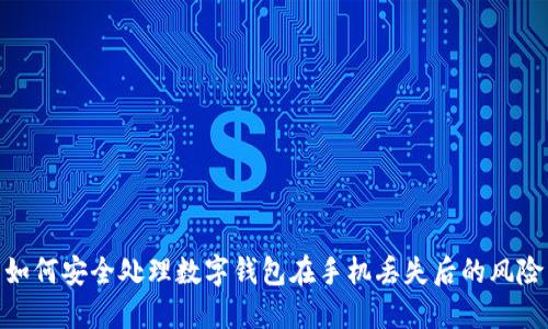 如何安全处理数字钱包在手机丢失后的风险