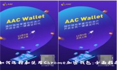 如何选择和使用Chrome加密