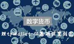 全面管理tpWallet：从基础设