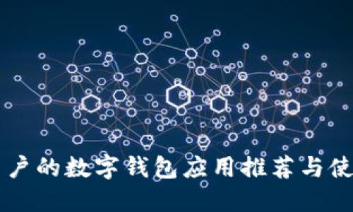 苹果用户的数字钱包应用推荐与使用指南