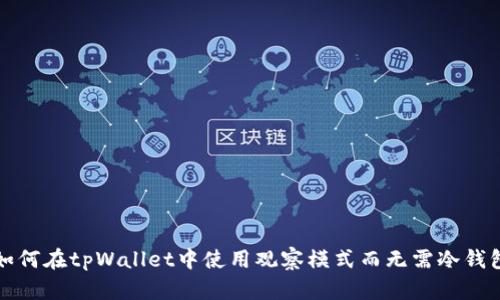 如何在tpWallet中使用观察模式而无需冷钱包