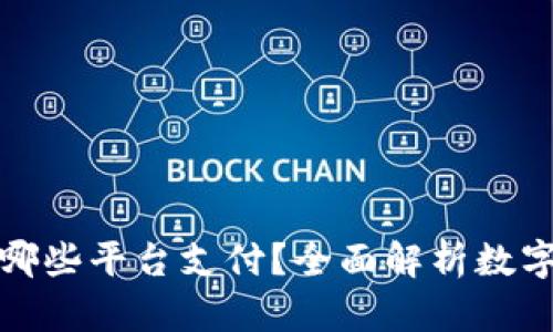 数字钱包支持哪些平台支付？全面解析数字钱包应用场景