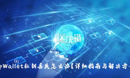 tpWallet私钥丢失怎么办？详细指南与解决方案