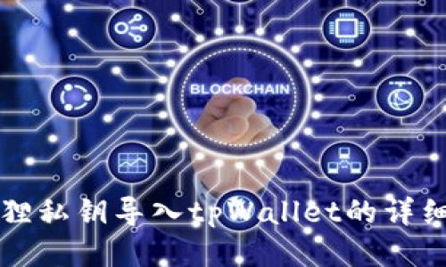 小狐狸私钥导入tpWallet的详细指南