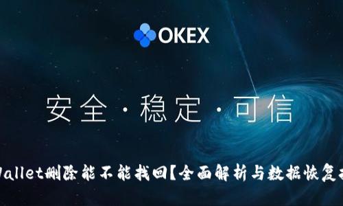 tpWallet删除能不能找回？全面解析与数据恢复技巧