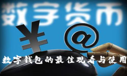 公司数字钱包的最佳观看与使用指南