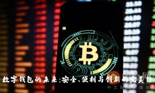 : 数字钱包的未来：安全、便利与创新的完美结合