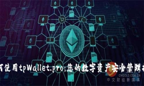 如何使用tpWallet.pro：您的数字资产安全管理指南
