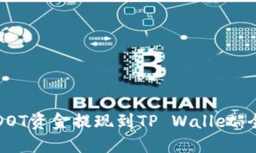如何将DOT资金提现到TP Wallet：全面指南