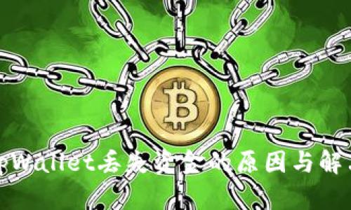 探究tpWallet丢失资金的原因与解决方案