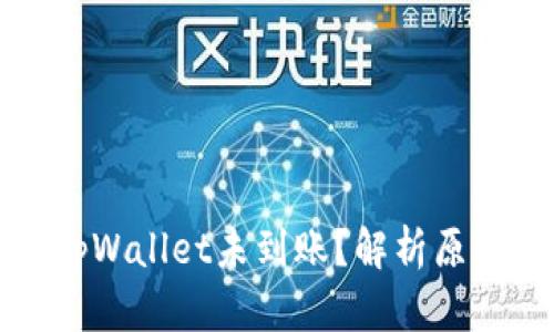 火币提币到tpWallet未到账？解析原因及解决方案