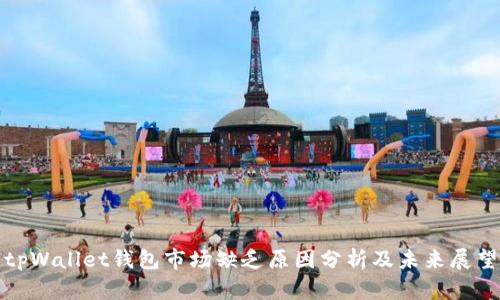 tpWallet钱包市场缺乏原因分析及未来展望