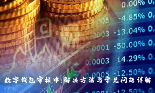 数字钱包审核中：解决方法与常见问题详解