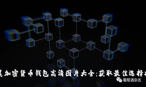 北美加密货币钱包高清图片大全：获取最佳选择指南