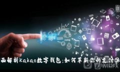 全面解析Kakao数字钱包：如