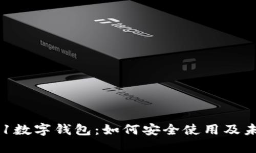 全面解析011数字钱包：如何安全使用及未来发展趋势