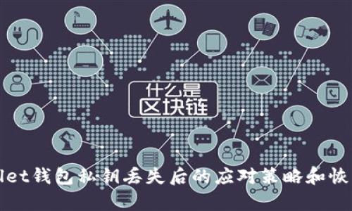 tpWallet钱包私钥丢失后的应对策略和恢复指南
