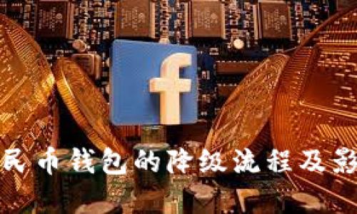 数字人民币钱包的降级流程及影响详解