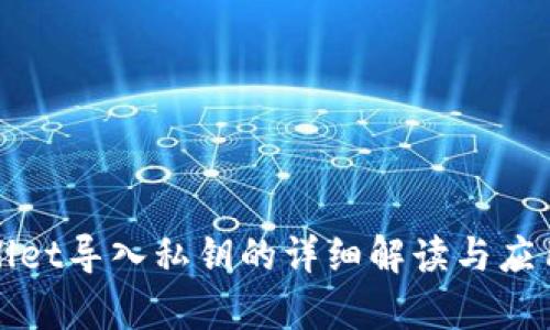 tpWallet导入私钥的详细解读与应用指南