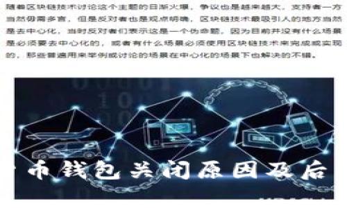 建行数字货币钱包关闭原因及后续影响分析